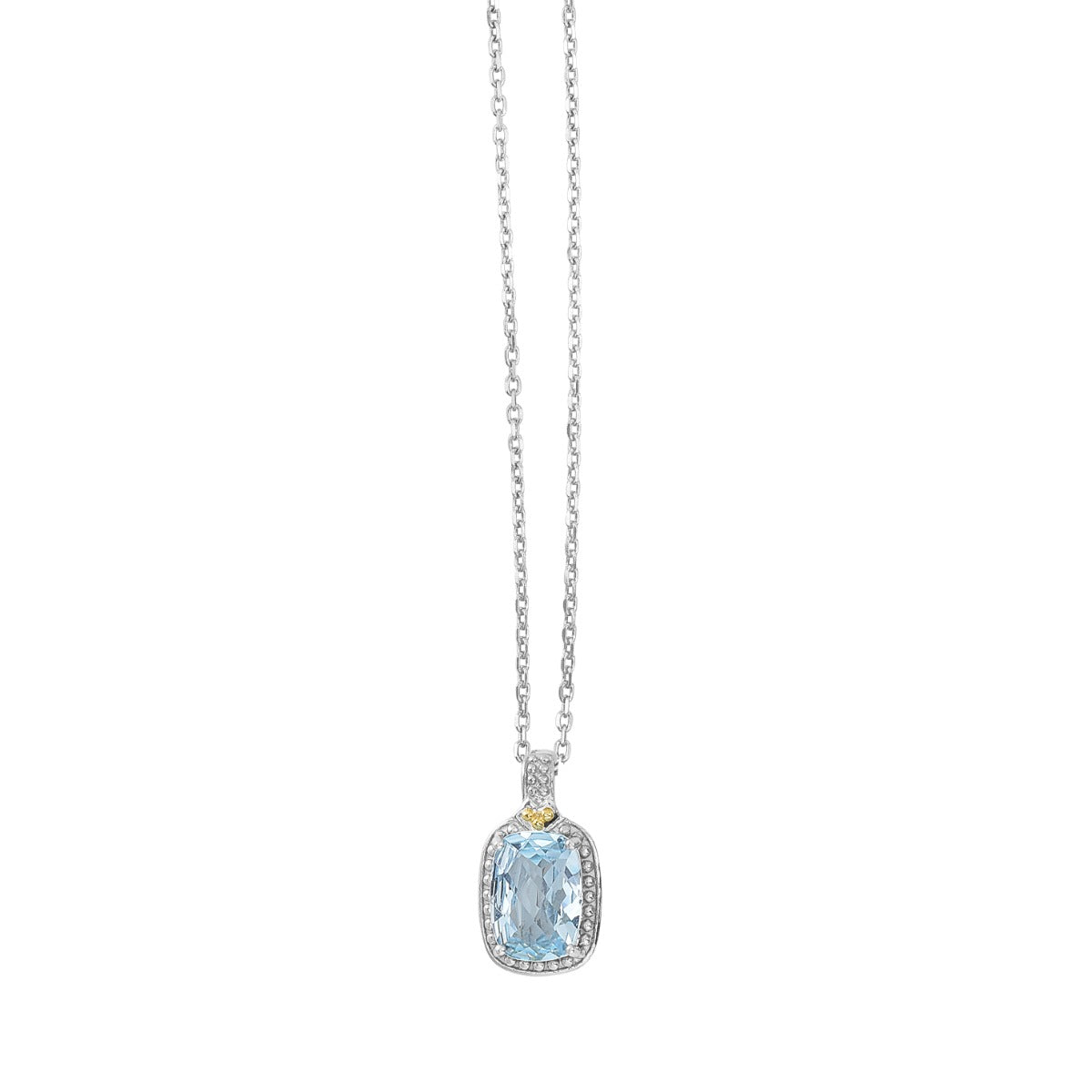 18K Gold & Sterling Silver Pendant on Sterling Silver Diamond Cut Oval Chain with Gemstone Options